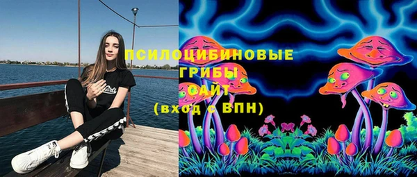 ГАЛЛЮЦИНОГЕННЫЕ ГРИБЫ Богородск