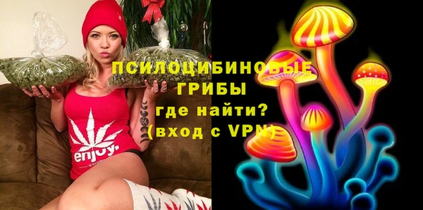 прущий лед Богданович
